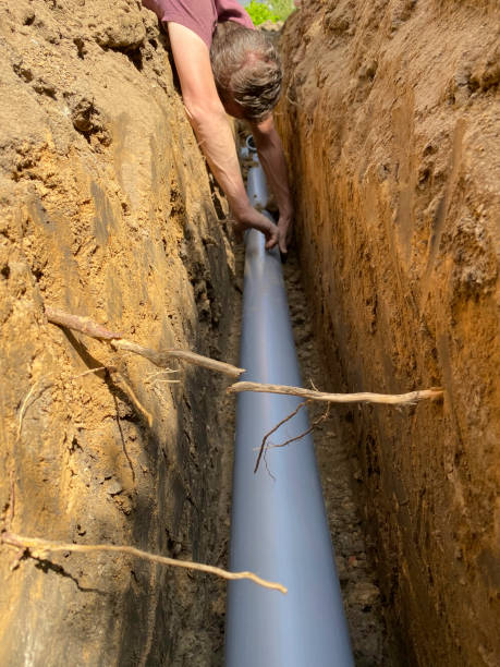 Best Flood damage cleanup  in Ladera Heights, CA