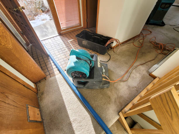 Best Water damage restoration mold remediation  in Ladera Heights, CA