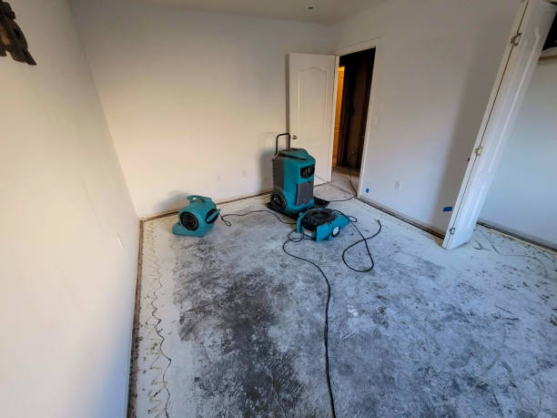 Best Professional water damage repair  in Ladera Heights, CA