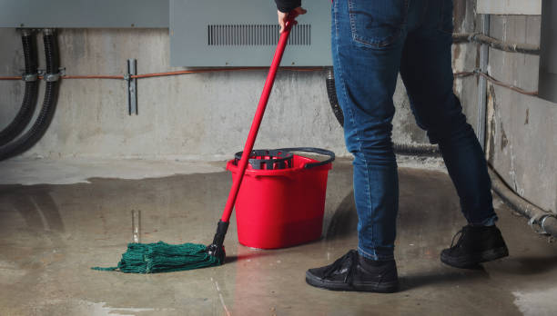 Best Fire Damage Restoration  in Ladera Heights, CA