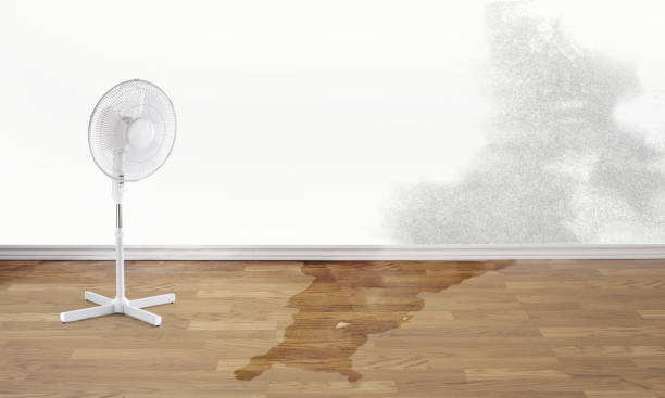 Best 24/7 water damage repair  in Ladera Heights, CA