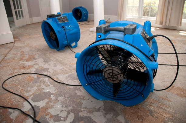 Best Commercial water damage restoration  in Ladera Heights, CA