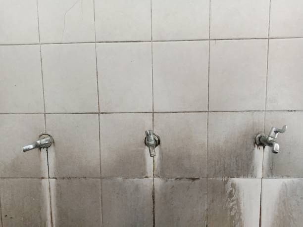 Best Water damage restoration process  in Ladera Heights, CA