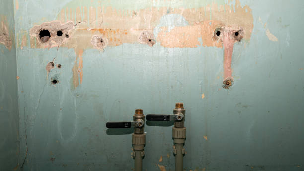 Professional Water damage restoration in Ladera Heights, CA