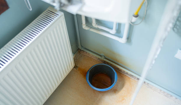 Best Water damage restoration services  in Ladera Heights, CA