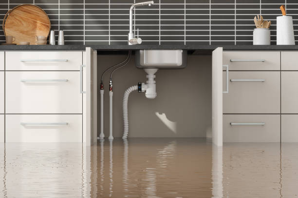 Local water damage restoration in Ladera Heights, CA
