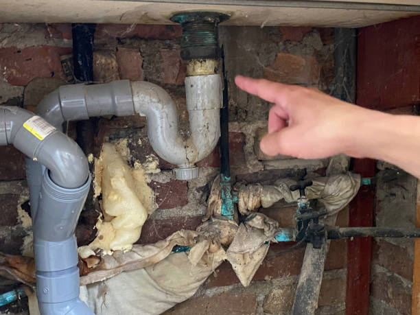  Ladera Heights, CA Water damage restoration Pros